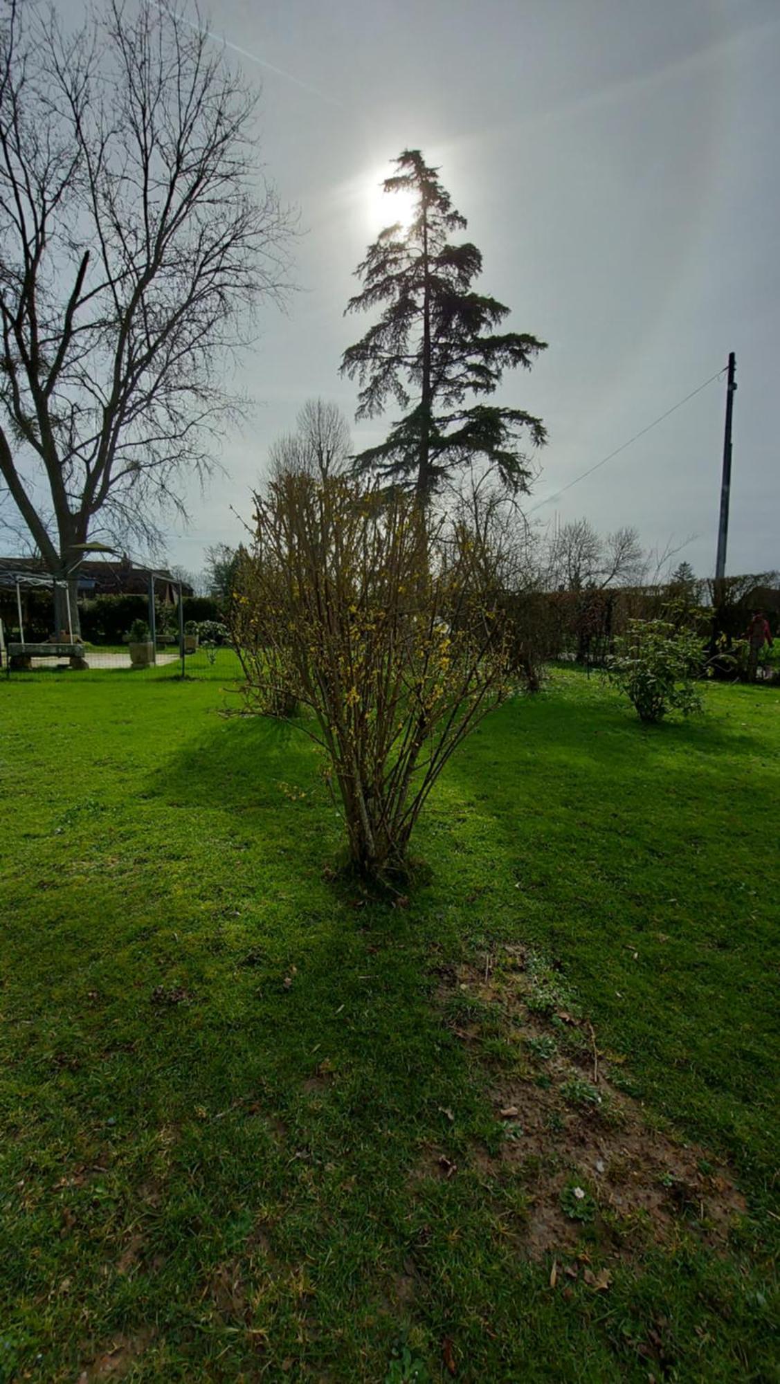 Maella Bed & Breakfast Saint-Michel-Tuboeuf