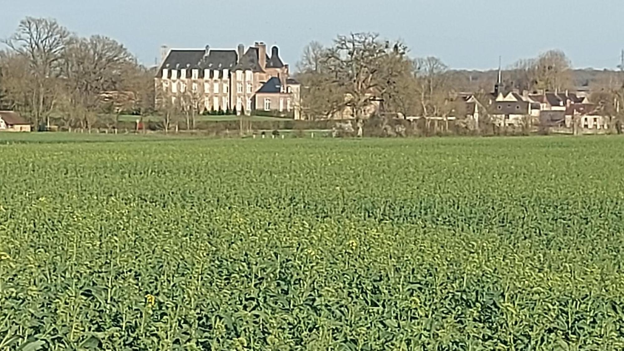 Frühstückspension Maella Saint-Michel-Tuboeuf